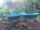 Two bowls commissioned for joint wedding anniversary
